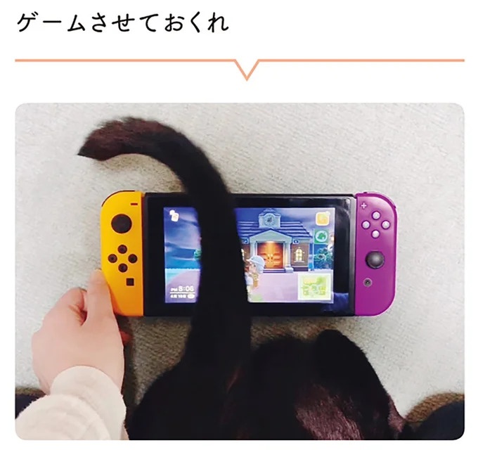 「ノラの子猫を保護してるからもらって」家にきた初日から…え、嘘でしょ？／黒猫ろんと暮らしたら（画像171/184枚目）