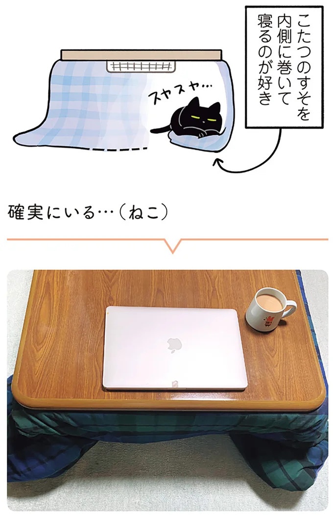 「ノラの子猫を保護してるからもらって」家にきた初日から…え、嘘でしょ？／黒猫ろんと暮らしたら（画像176/184枚目）
