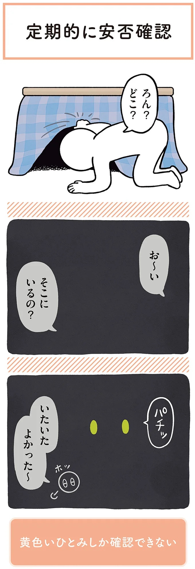 「ノラの子猫を保護してるからもらって」家にきた初日から…え、嘘でしょ？／黒猫ろんと暮らしたら（画像177/184枚目）