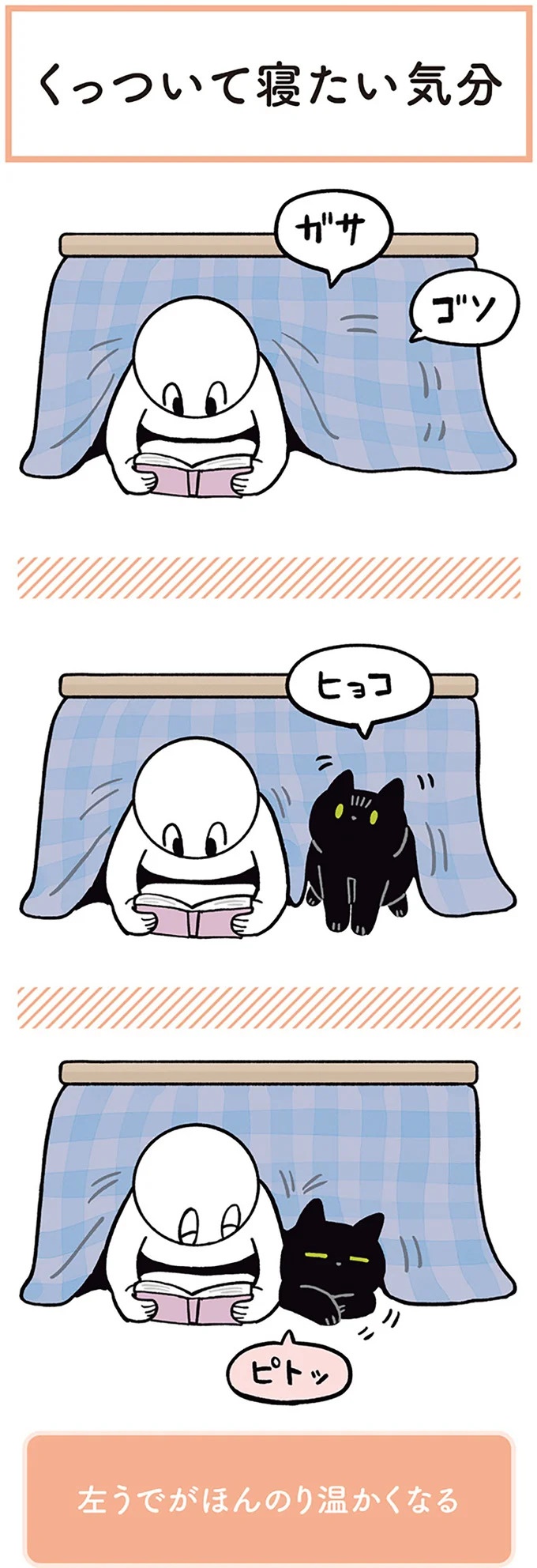 「ノラの子猫を保護してるからもらって」家にきた初日から…え、嘘でしょ？／黒猫ろんと暮らしたら（画像179/184枚目）