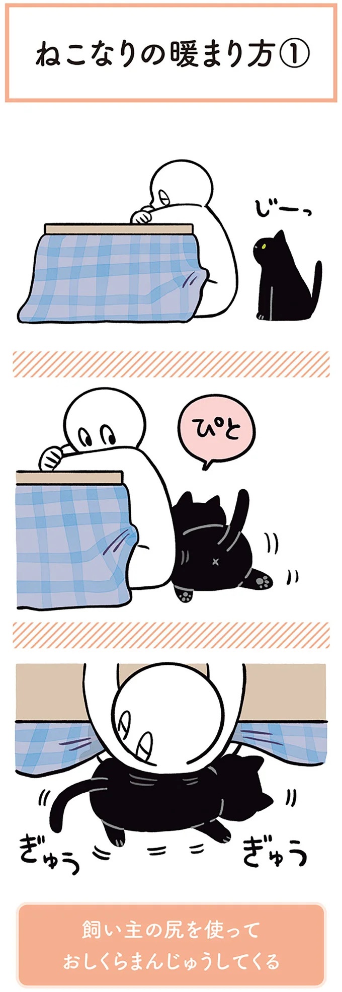 「ノラの子猫を保護してるからもらって」家にきた初日から…え、嘘でしょ？／黒猫ろんと暮らしたら（画像182/184枚目）