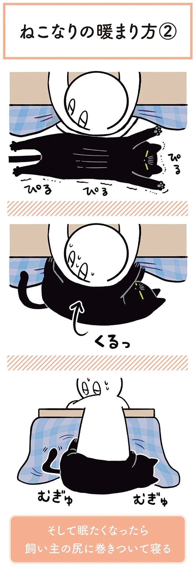 「ノラの子猫を保護してるからもらって」家にきた初日から…え、嘘でしょ？／黒猫ろんと暮らしたら（画像183/184枚目）