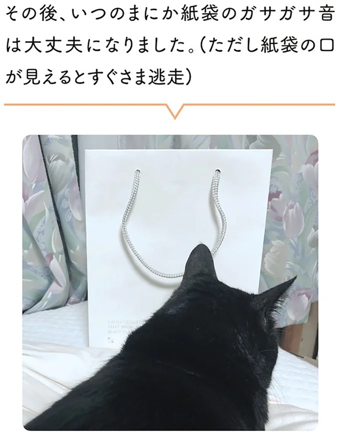 なんでそうなったの!?猫が紙袋で遊んでいたら…まさかの恐怖体験に／黒猫ろんと暮らしたら（画像6/7枚目）