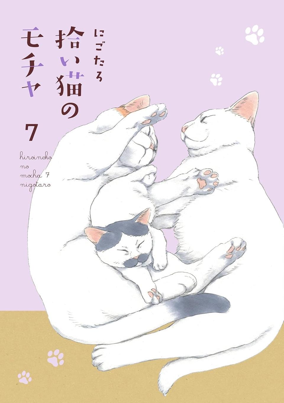 保護された子猫もこんなに図太くなりました。飼い主の前で居場所を作るため…ドサドサッ／拾い猫のモチャ7（画像6/6枚目）