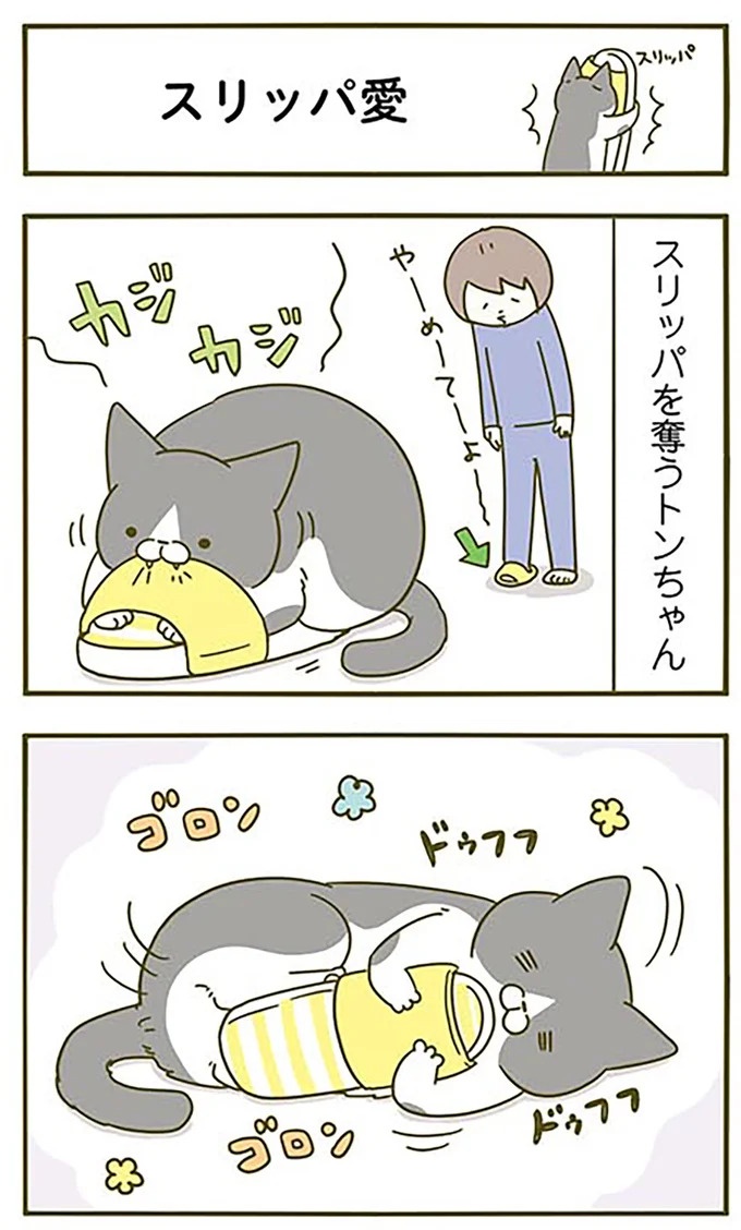 猫は、「無言なのにうるさい」。視界の端でちょっかいを出してきて…／うちの猫がまた変なことしてる。3（画像9/89枚目）