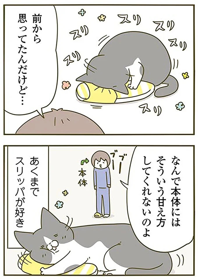 猫は、「無言なのにうるさい」。視界の端でちょっかいを出してきて…／うちの猫がまた変なことしてる。3（画像11/89枚目）
