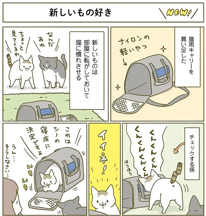 猫は、「無言なのにうるさい」。視界の端でちょっかいを出してきて…／うちの猫がまた変なことしてる。3（画像13/89枚目）