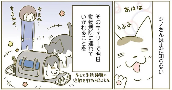 猫は、「無言なのにうるさい」。視界の端でちょっかいを出してきて…／うちの猫がまた変なことしてる。3（画像14/89枚目）