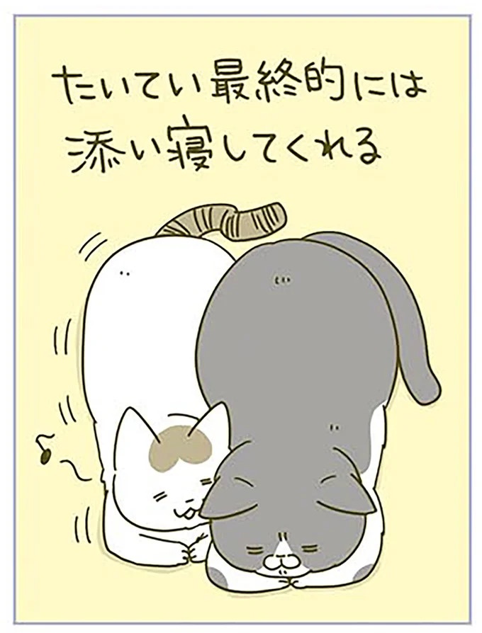 猫は、「無言なのにうるさい」。視界の端でちょっかいを出してきて…／うちの猫がまた変なことしてる。3（画像18/89枚目）