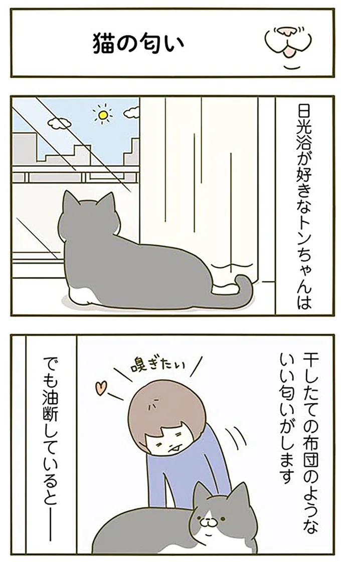 猫は、「無言なのにうるさい」。視界の端でちょっかいを出してきて…／うちの猫がまた変なことしてる。3（画像19/89枚目）