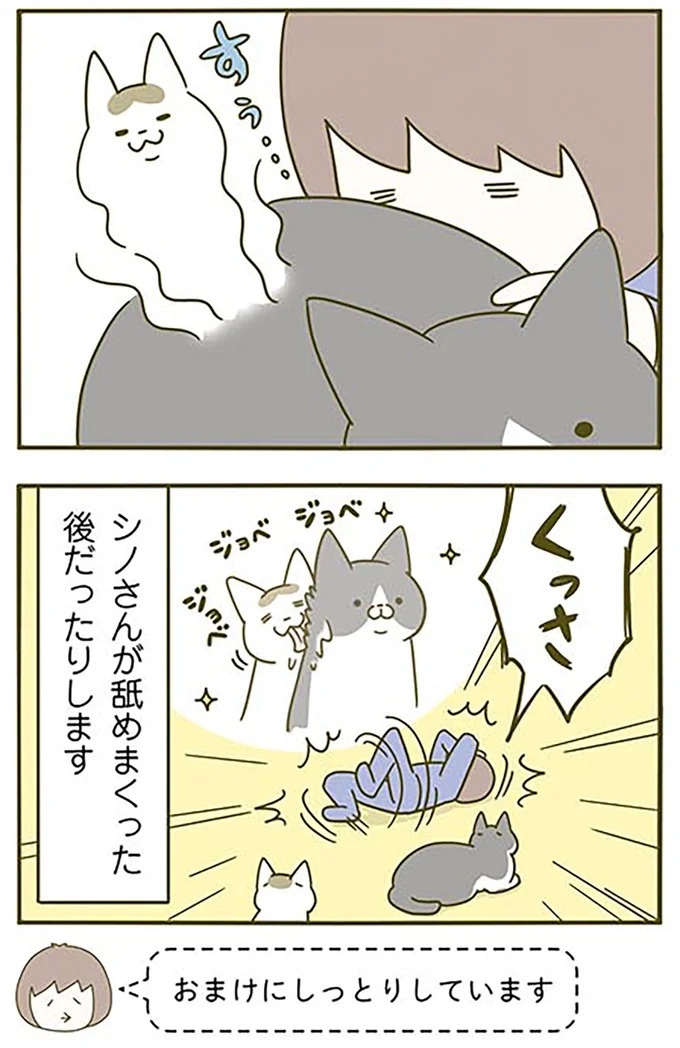 猫は、「無言なのにうるさい」。視界の端でちょっかいを出してきて…／うちの猫がまた変なことしてる。3（画像21/89枚目）