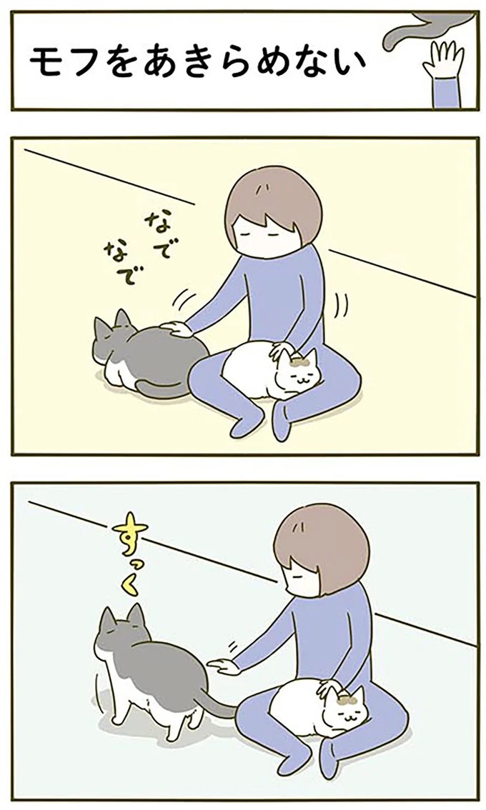 猫は、「無言なのにうるさい」。視界の端でちょっかいを出してきて…／うちの猫がまた変なことしてる。3（画像23/89枚目）