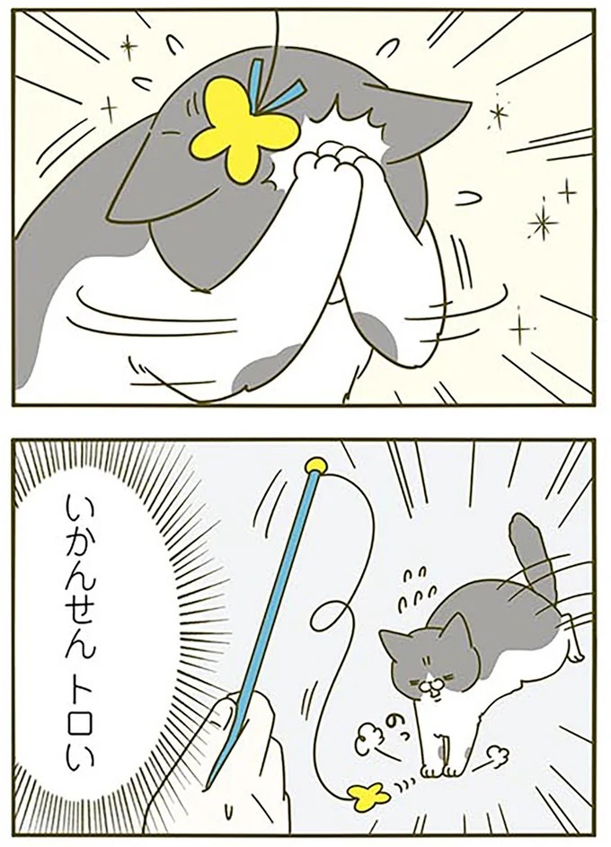 猫は、「無言なのにうるさい」。視界の端でちょっかいを出してきて…／うちの猫がまた変なことしてる。3（画像28/89枚目）