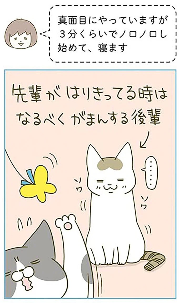 猫は、「無言なのにうるさい」。視界の端でちょっかいを出してきて…／うちの猫がまた変なことしてる。3（画像29/89枚目）