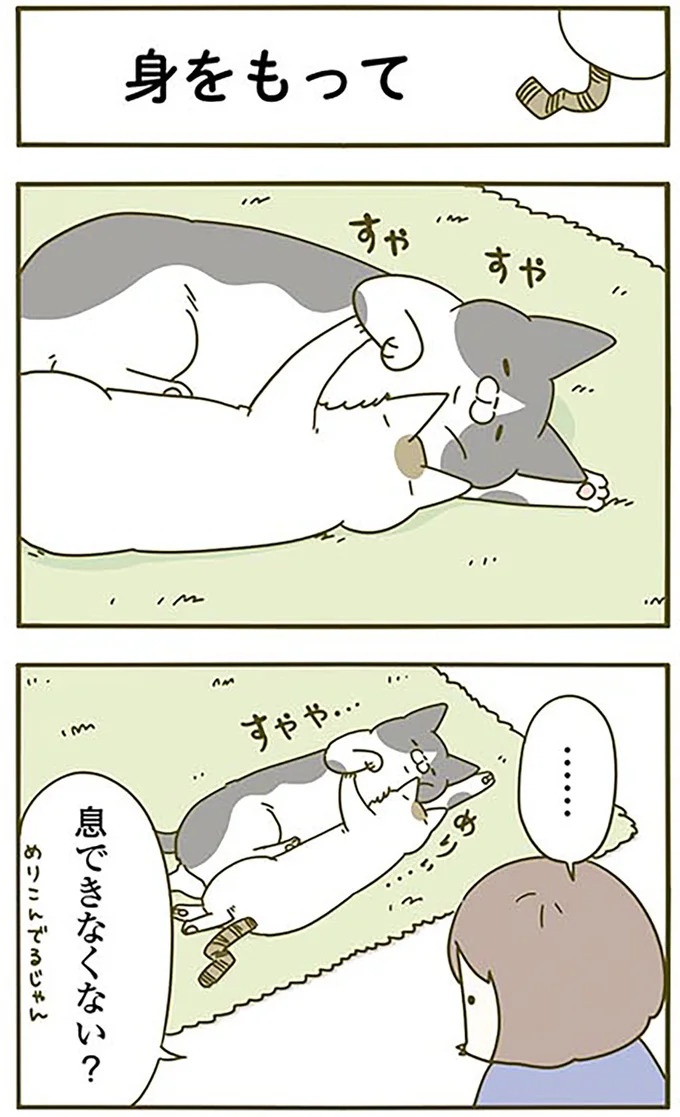 猫は、「無言なのにうるさい」。視界の端でちょっかいを出してきて…／うちの猫がまた変なことしてる。3（画像31/89枚目）