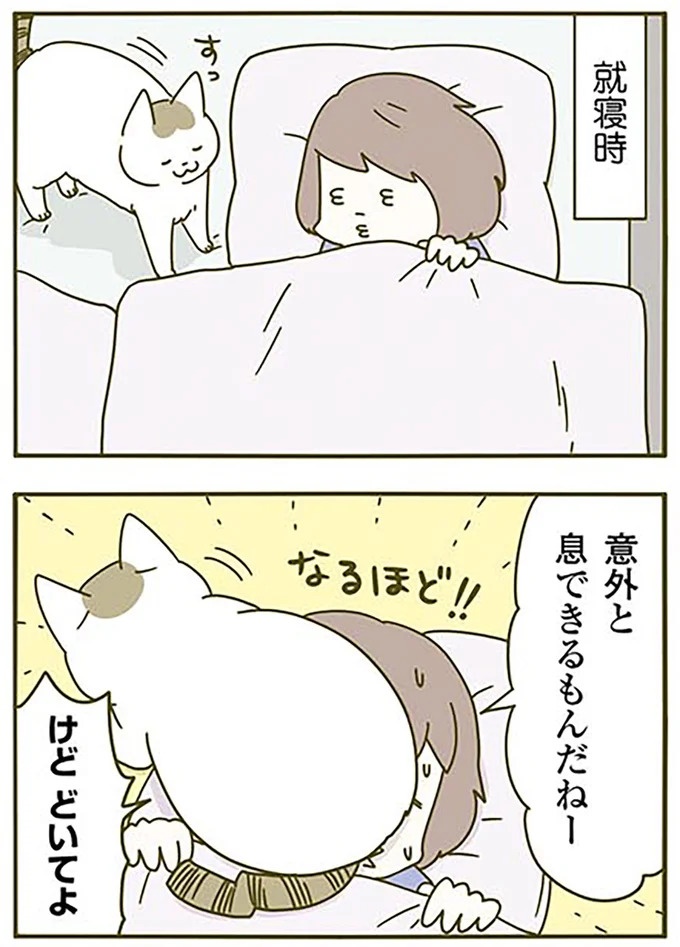 猫は、「無言なのにうるさい」。視界の端でちょっかいを出してきて…／うちの猫がまた変なことしてる。3（画像32/89枚目）
