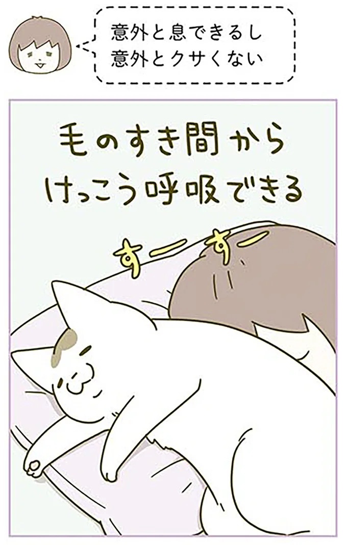 猫は、「無言なのにうるさい」。視界の端でちょっかいを出してきて…／うちの猫がまた変なことしてる。3（画像33/89枚目）