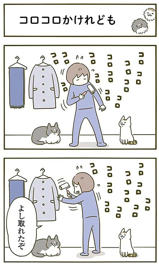 猫は、「無言なのにうるさい」。視界の端でちょっかいを出してきて…／うちの猫がまた変なことしてる。3（画像34/89枚目）