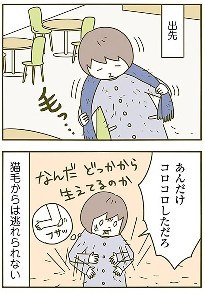 猫は、「無言なのにうるさい」。視界の端でちょっかいを出してきて…／うちの猫がまた変なことしてる。3（画像36/89枚目）