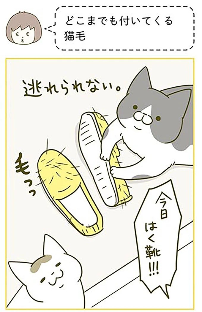 猫は、「無言なのにうるさい」。視界の端でちょっかいを出してきて…／うちの猫がまた変なことしてる。3（画像37/89枚目）