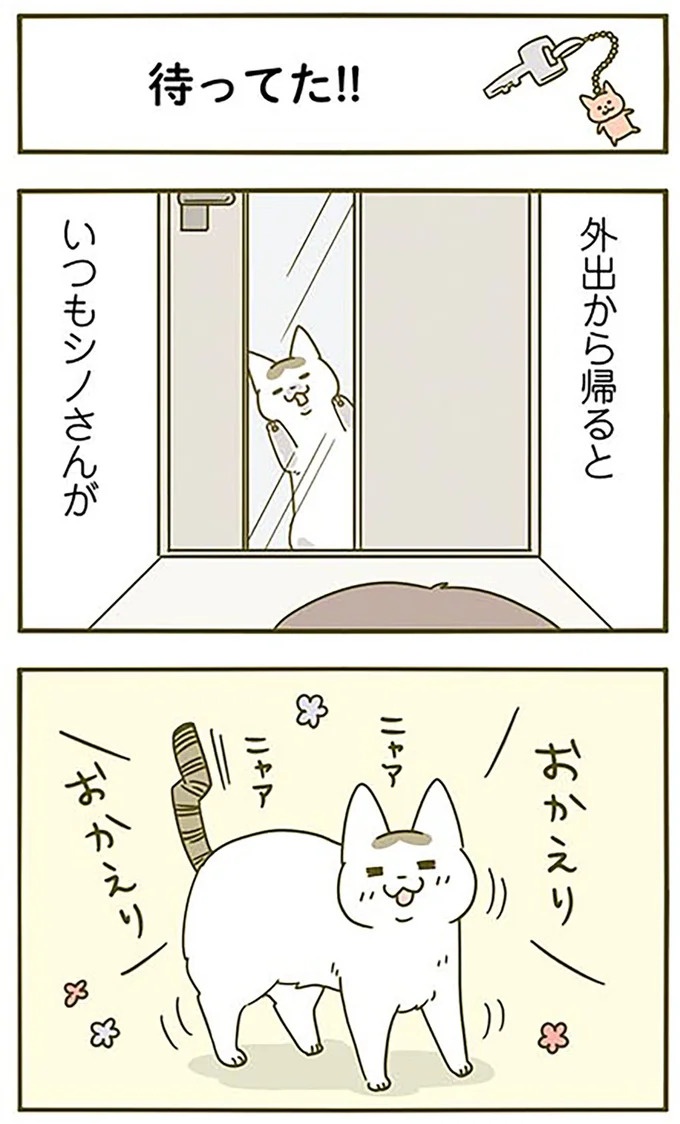 猫は、「無言なのにうるさい」。視界の端でちょっかいを出してきて…／うちの猫がまた変なことしてる。3（画像38/89枚目）