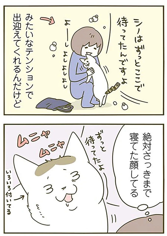 猫は、「無言なのにうるさい」。視界の端でちょっかいを出してきて…／うちの猫がまた変なことしてる。3（画像39/89枚目）