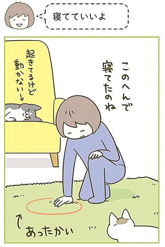猫は、「無言なのにうるさい」。視界の端でちょっかいを出してきて…／うちの猫がまた変なことしてる。3（画像41/89枚目）