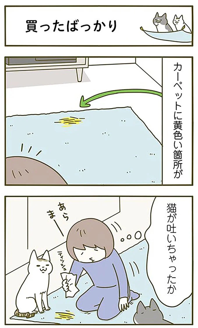 猫は、「無言なのにうるさい」。視界の端でちょっかいを出してきて…／うちの猫がまた変なことしてる。3（画像42/89枚目）