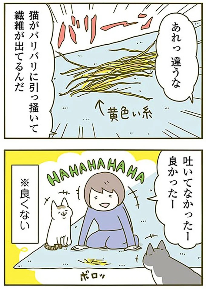 猫は、「無言なのにうるさい」。視界の端でちょっかいを出してきて…／うちの猫がまた変なことしてる。3（画像43/89枚目）