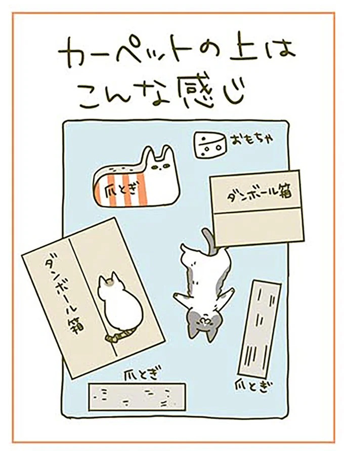 猫は、「無言なのにうるさい」。視界の端でちょっかいを出してきて…／うちの猫がまた変なことしてる。3（画像44/89枚目）