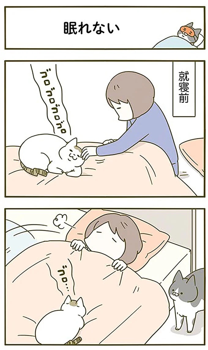 猫は、「無言なのにうるさい」。視界の端でちょっかいを出してきて…／うちの猫がまた変なことしてる。3（画像46/89枚目）
