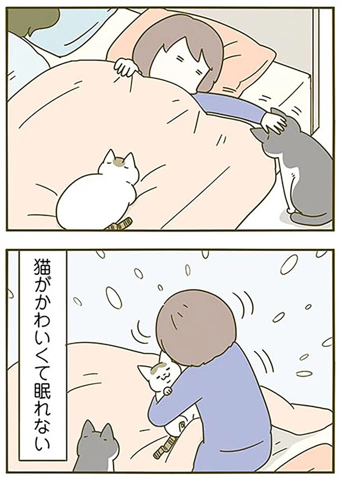 猫は、「無言なのにうるさい」。視界の端でちょっかいを出してきて…／うちの猫がまた変なことしてる。3（画像47/89枚目）