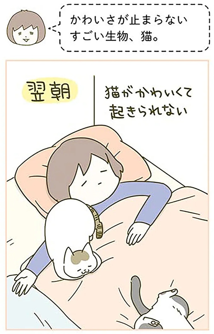 猫は、「無言なのにうるさい」。視界の端でちょっかいを出してきて…／うちの猫がまた変なことしてる。3（画像48/89枚目）