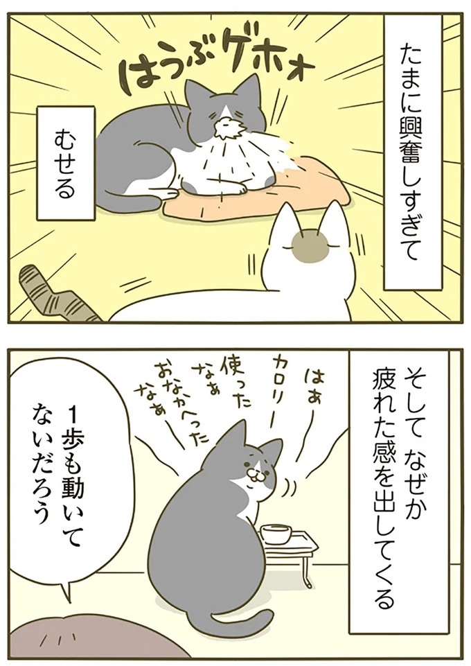 猫は、「無言なのにうるさい」。視界の端でちょっかいを出してきて…／うちの猫がまた変なことしてる。3（画像51/89枚目）