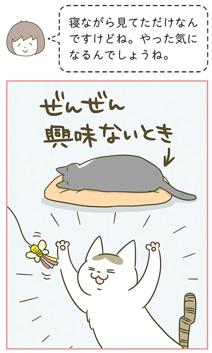猫は、「無言なのにうるさい」。視界の端でちょっかいを出してきて…／うちの猫がまた変なことしてる。3（画像52/89枚目）