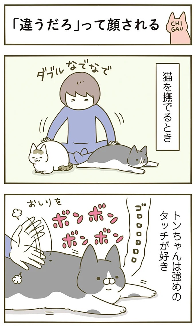 猫は、「無言なのにうるさい」。視界の端でちょっかいを出してきて…／うちの猫がまた変なことしてる。3（画像53/89枚目）