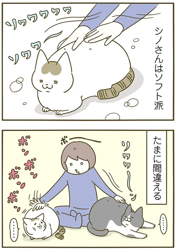 猫は、「無言なのにうるさい」。視界の端でちょっかいを出してきて…／うちの猫がまた変なことしてる。3（画像54/89枚目）