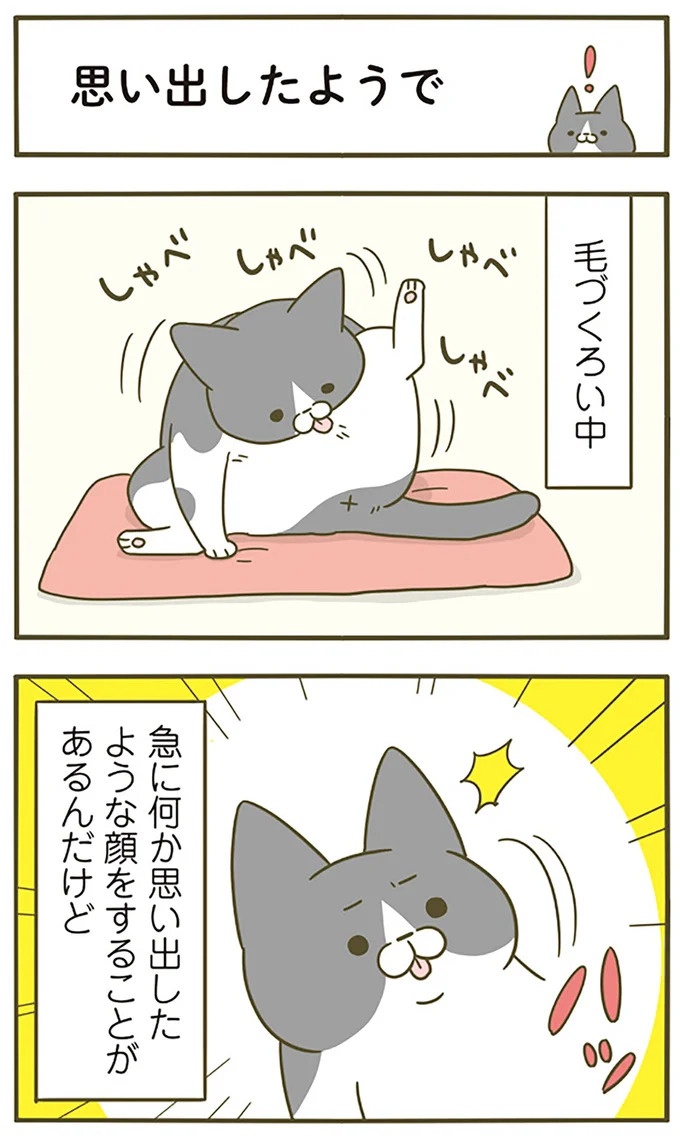 猫は、「無言なのにうるさい」。視界の端でちょっかいを出してきて…／うちの猫がまた変なことしてる。3（画像56/89枚目）