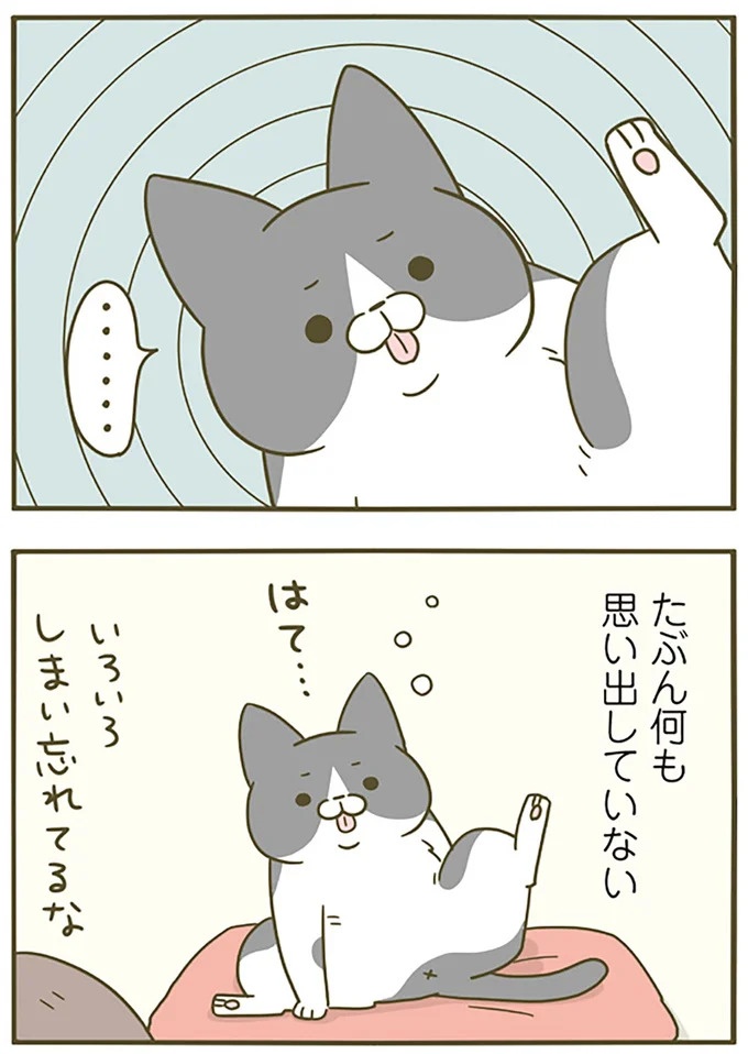 猫は、「無言なのにうるさい」。視界の端でちょっかいを出してきて…／うちの猫がまた変なことしてる。3（画像57/89枚目）