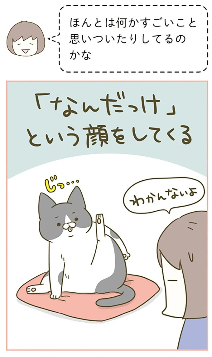 猫は、「無言なのにうるさい」。視界の端でちょっかいを出してきて…／うちの猫がまた変なことしてる。3（画像58/89枚目）