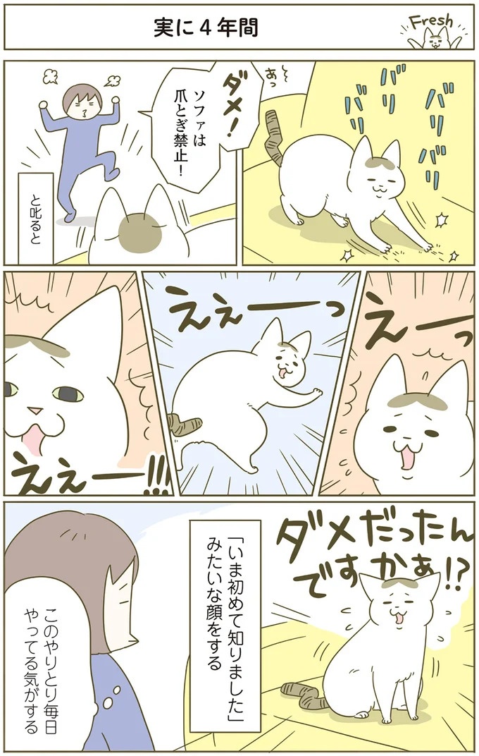 猫は、「無言なのにうるさい」。視界の端でちょっかいを出してきて…／うちの猫がまた変なことしてる。3（画像59/89枚目）