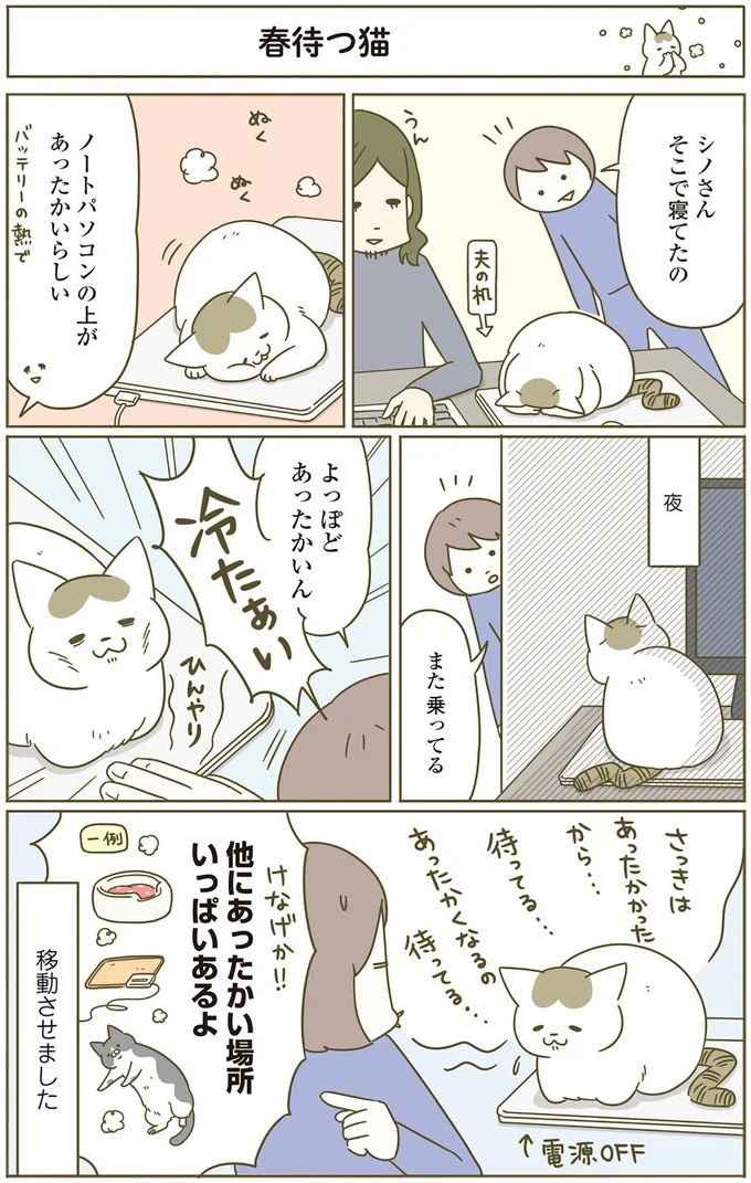 猫は、「無言なのにうるさい」。視界の端でちょっかいを出してきて…／うちの猫がまた変なことしてる。3（画像62/89枚目）