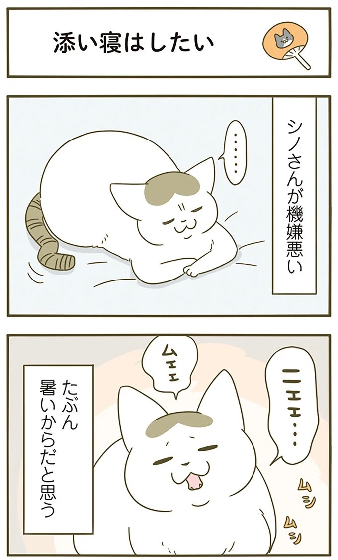 猫は、「無言なのにうるさい」。視界の端でちょっかいを出してきて…／うちの猫がまた変なことしてる。3（画像68/89枚目）