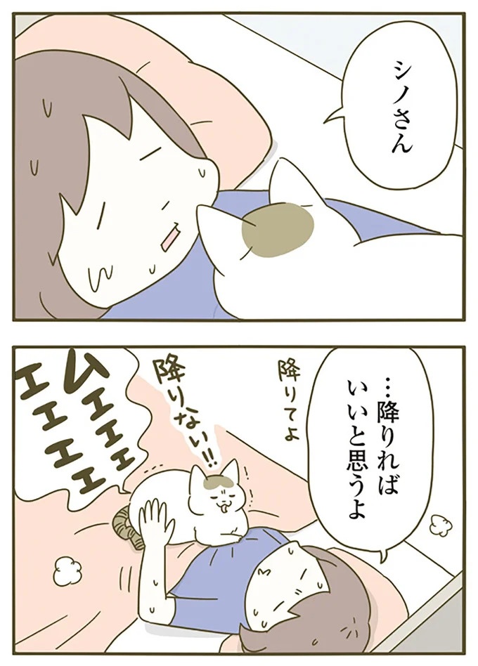 猫は、「無言なのにうるさい」。視界の端でちょっかいを出してきて…／うちの猫がまた変なことしてる。3（画像69/89枚目）