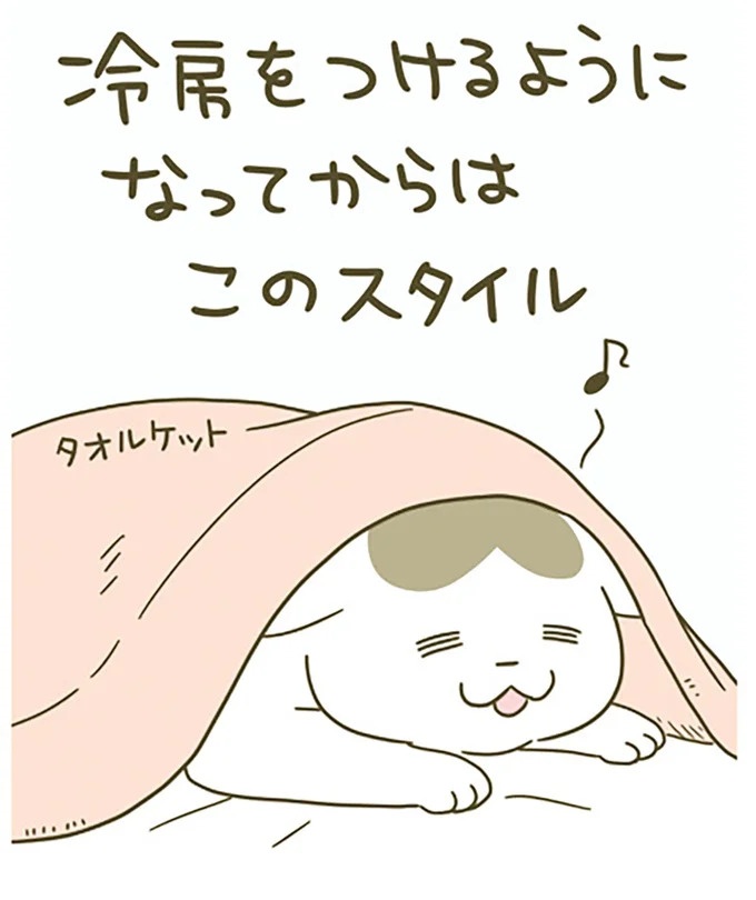 猫は、「無言なのにうるさい」。視界の端でちょっかいを出してきて…／うちの猫がまた変なことしてる。3（画像71/89枚目）