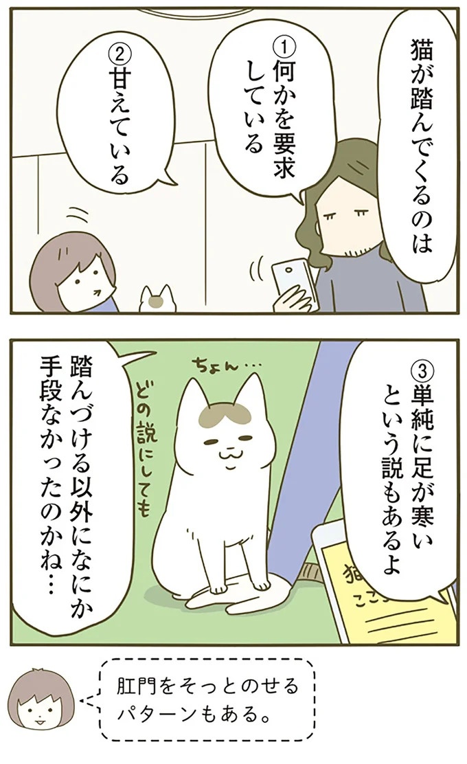 猫は、「無言なのにうるさい」。視界の端でちょっかいを出してきて…／うちの猫がまた変なことしてる。3（画像73/89枚目）
