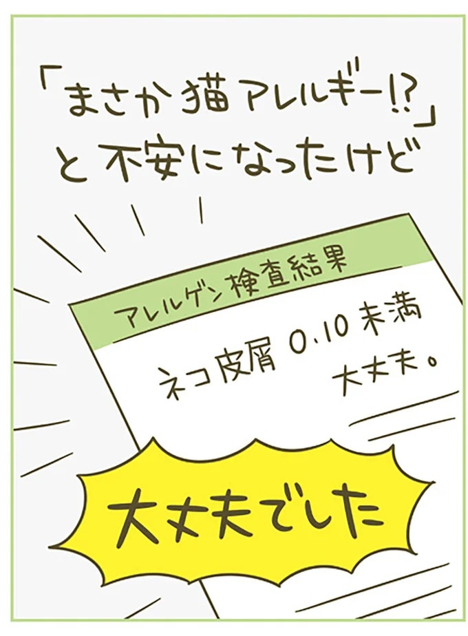 猫は、「無言なのにうるさい」。視界の端でちょっかいを出してきて…／うちの猫がまた変なことしてる。3（画像78/89枚目）