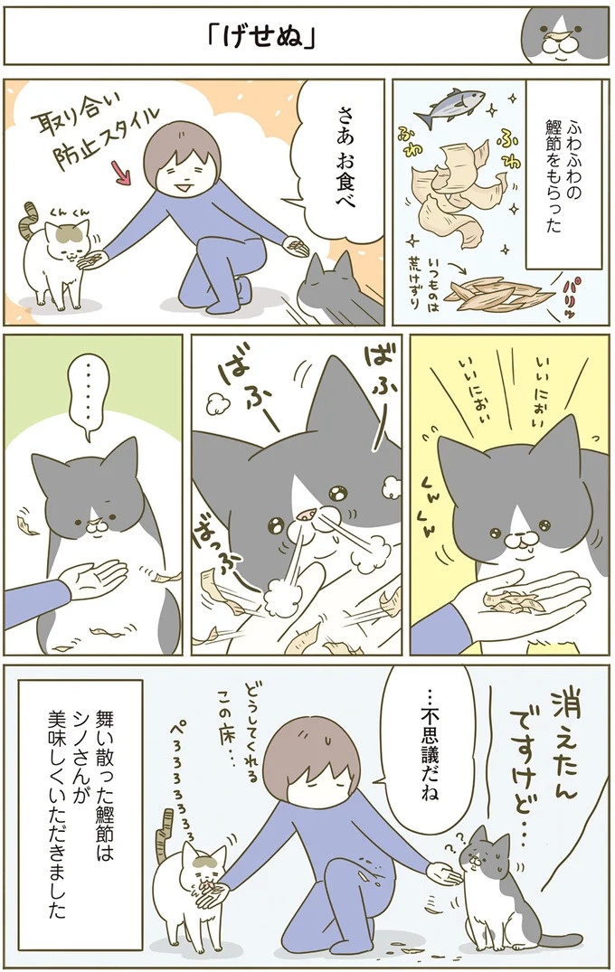 猫は、「無言なのにうるさい」。視界の端でちょっかいを出してきて…／うちの猫がまた変なことしてる。3（画像79/89枚目）