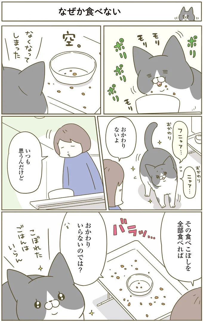 猫は、「無言なのにうるさい」。視界の端でちょっかいを出してきて…／うちの猫がまた変なことしてる。3（画像81/89枚目）