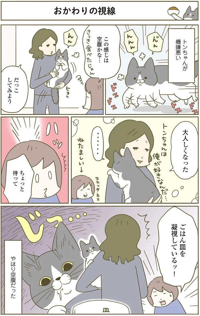 猫は、「無言なのにうるさい」。視界の端でちょっかいを出してきて…／うちの猫がまた変なことしてる。3（画像83/89枚目）